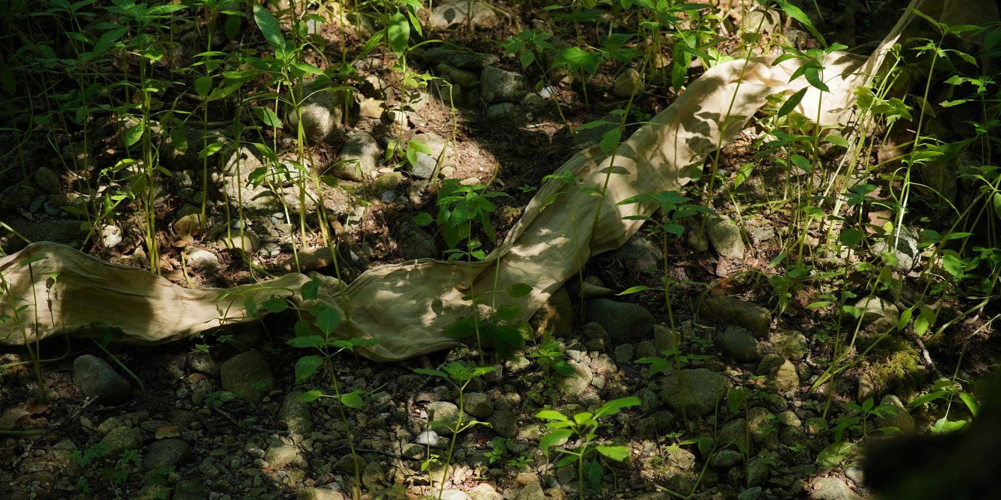 Circularity and Sustainable Beddings and Towels from Sömn Home