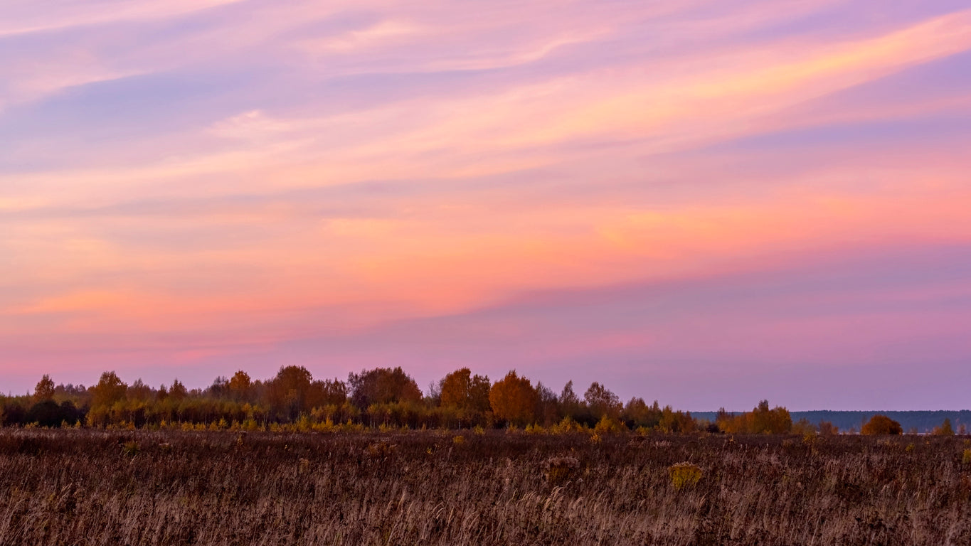 50 Gentle Reminders for a Peaceful Fall Sanctuary